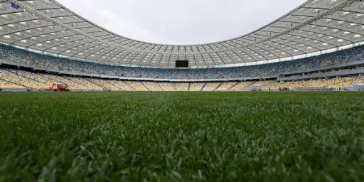 Газон стадиона «Динамо» будет готов к матчам каждые три-четыре дня