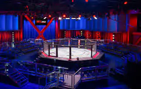 В Лас-Вегасе ввели строгий карантин. Все турниры UFC в 2020 году под угрозой