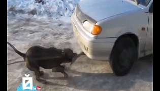 ЙОЙ-Youtube. Выпуск 16