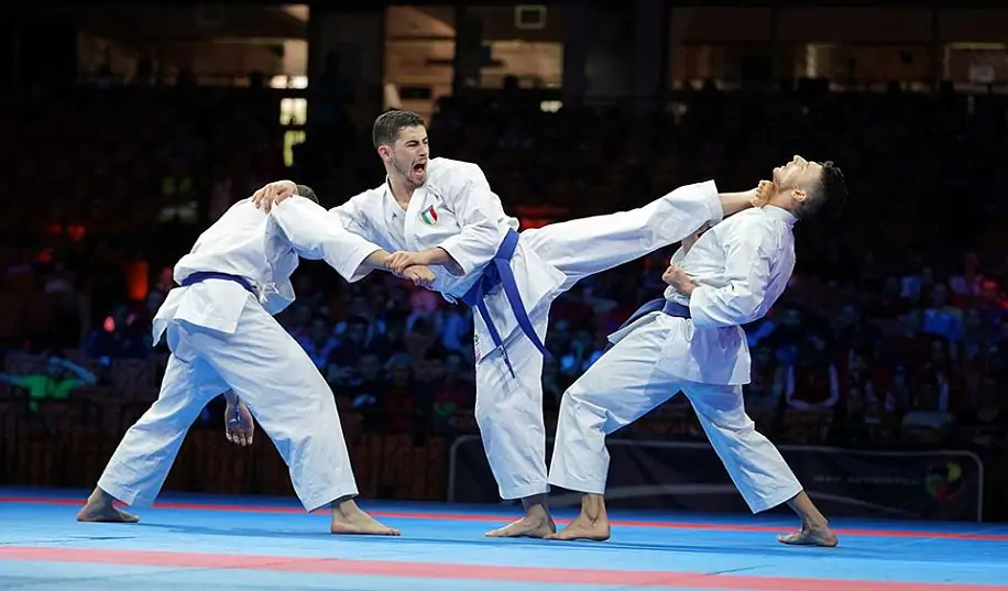 Чемпионат Европы по каратэ в Гвадалахаре. Видео трансляция