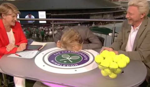Навратилова билась головой о стол, когда услышала слова Халеп после поражения на Wimbledon