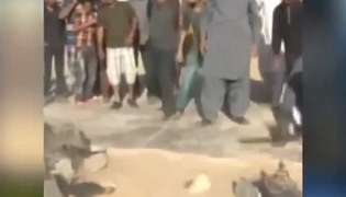 Любители крикета в Пакистане разбили в дребезги телевизор