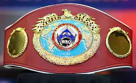 В WBO подтвердили, что бой Альварес – Смит состоится летом