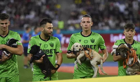 Футболисты «Динамо» вышли на матч чемпионата Румынии с собаками