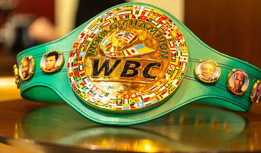 В WBC с 2023 года разрешат боксировать трансгендерам