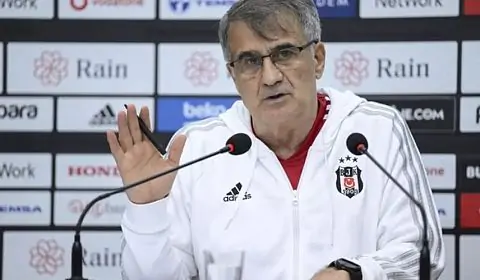 Тренер Бешикташа: «Луческу дуже добре знає турецький футбол»