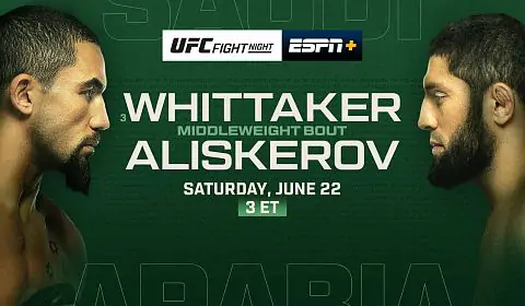 ﻿Результаты турнира UFC on ABC 6: победы Оздемира, Гастелума и Уиттакера