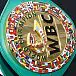 WBC не намерен снимать санкции с российских боксеров