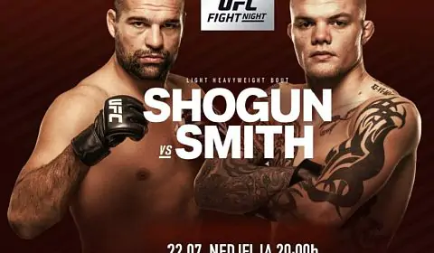 Файт-кард шоу UFC Fight Night 134: Возвращение «Сёгуна»