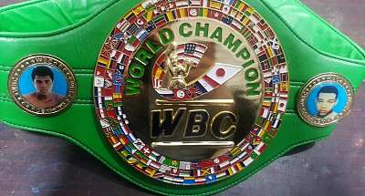 Стало известно, кто подерется за титул WBC, оставленный Хэйни