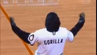 Go the Gorilla, Phoenix Suns, NBA